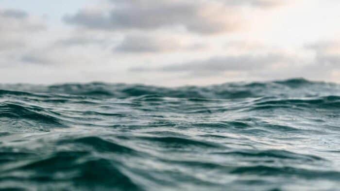 selective focus photo of beach