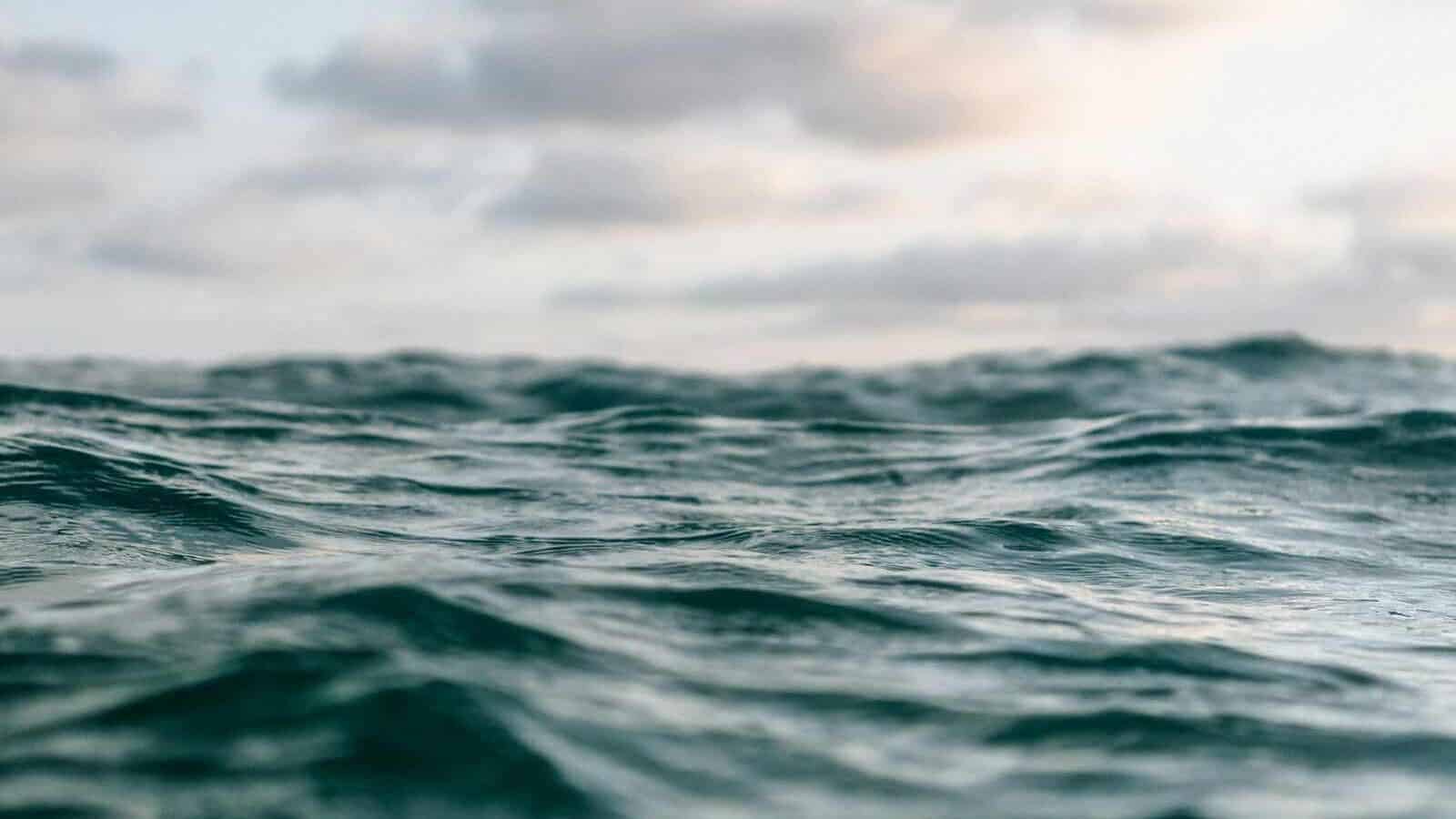 selective focus photo of beach